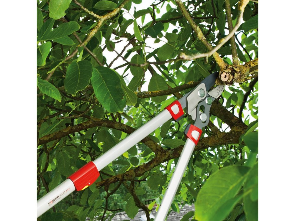 Power Cut Anvil Lopper - Telescopic_Loppers