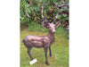 Standing Stag Buck Ornament cast from Aluminium_Garden Ornaments