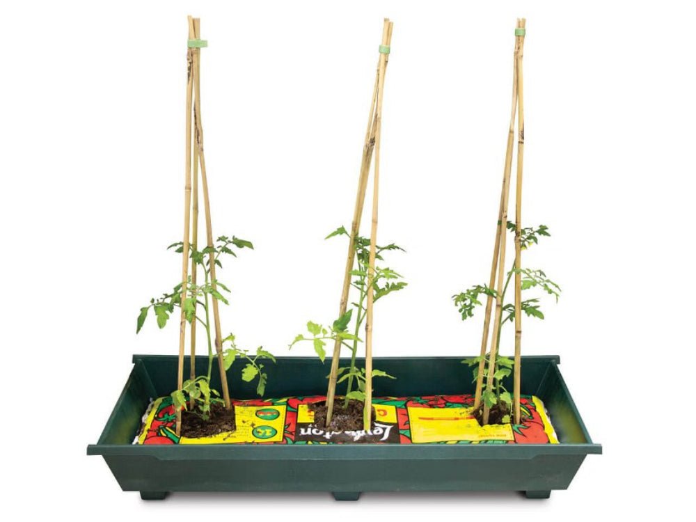 Grow Bag Tray_Grow Bags