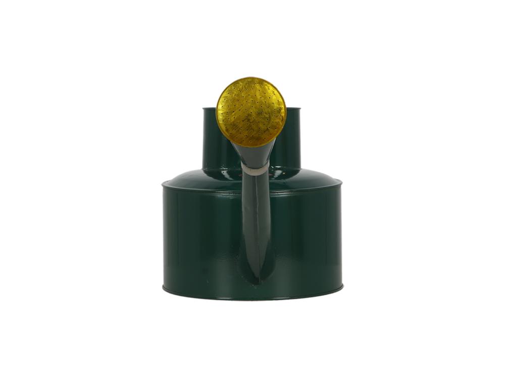 Long Spout Watering Can – Elegant Garden Watering Solution_Watering Cans