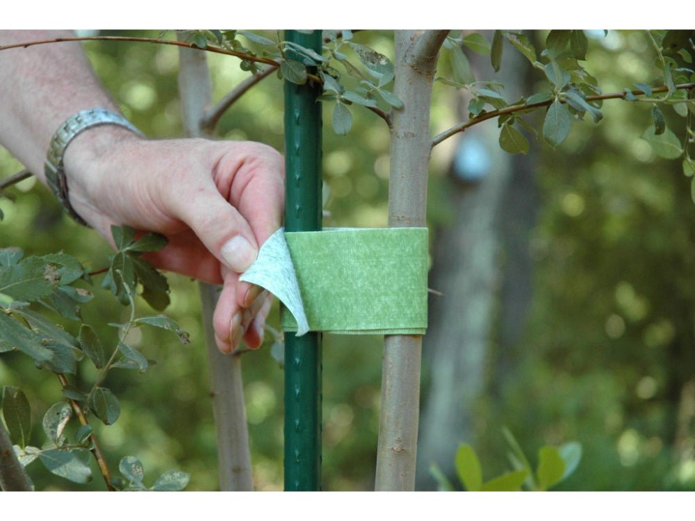 VELCRO® Brand ONE - WRAP® Tree Ties Plant Support Tape for Effective Growing | Strong Gardening Grips are Reusable and Adjustable | Cut - to - Length, 5.4m x 5cm Roll, Green - Recycled Plastic_Strings & Ties