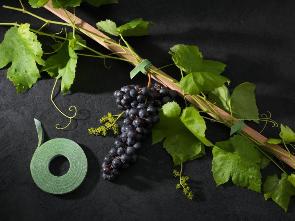 VELCRO® Brand ONE - WRAP® Plant Ties Pre - Cut 25pcs - Suitable for Garden Tomatoes Flowers or Vegetables in Raised Beds, 20cm x 1.2cm, Green - Recycled Plastic_Strings & Ties