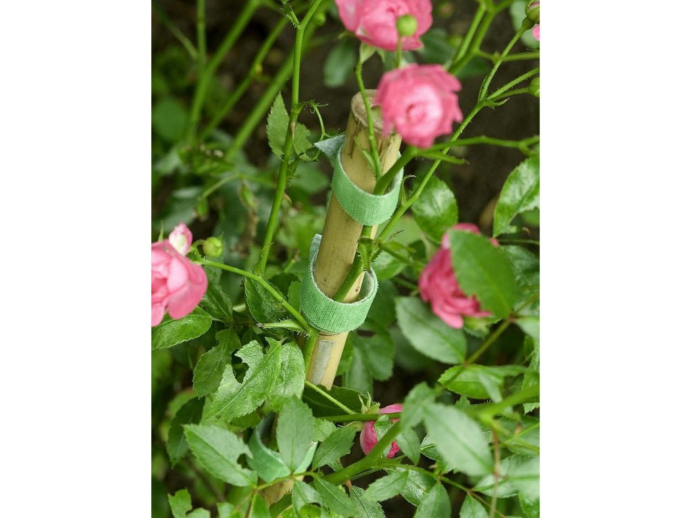 VELCRO® Brand ONE - WRAP® Garden Ties - Starter Pack for Tomatoes, Vines or Houseplants 12pcs, Pre - Cut, 15cm x 1.2cm, Green, Recycled Plastic_Strings & Ties