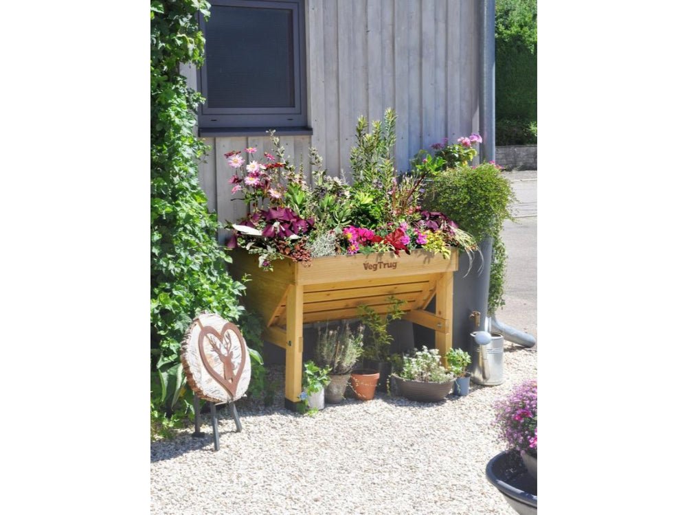 Classic VegTrug_VegTrug