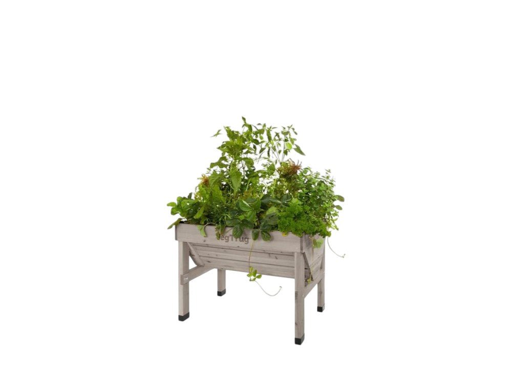 Classic VegTrug_VegTrug