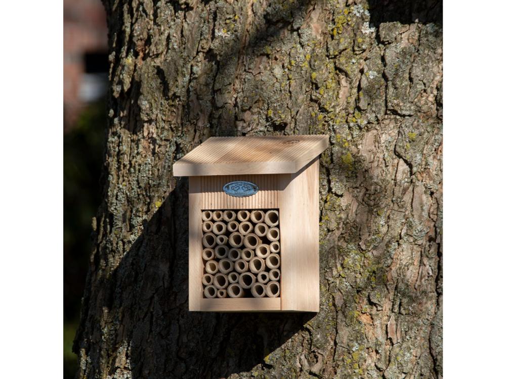 Bee House_Bird Boxes & Insect Houses