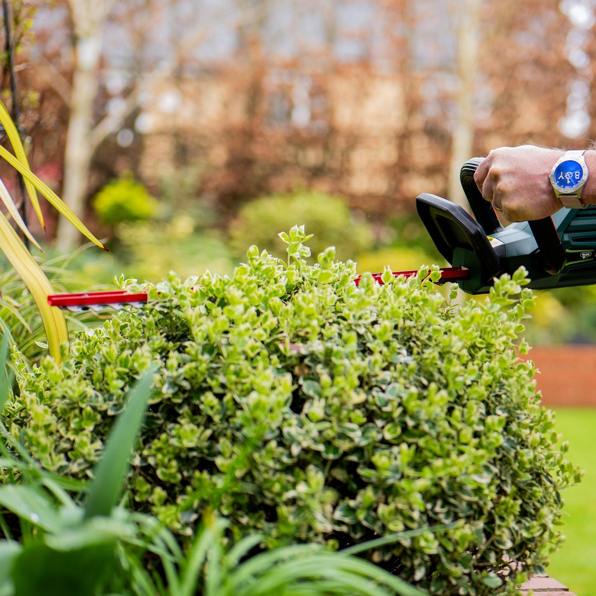 Webb Eco 20V 50cm (20") Cordless Hedge Trimmer (2Ah Battery & Charger Included)_Hedge Trimmers