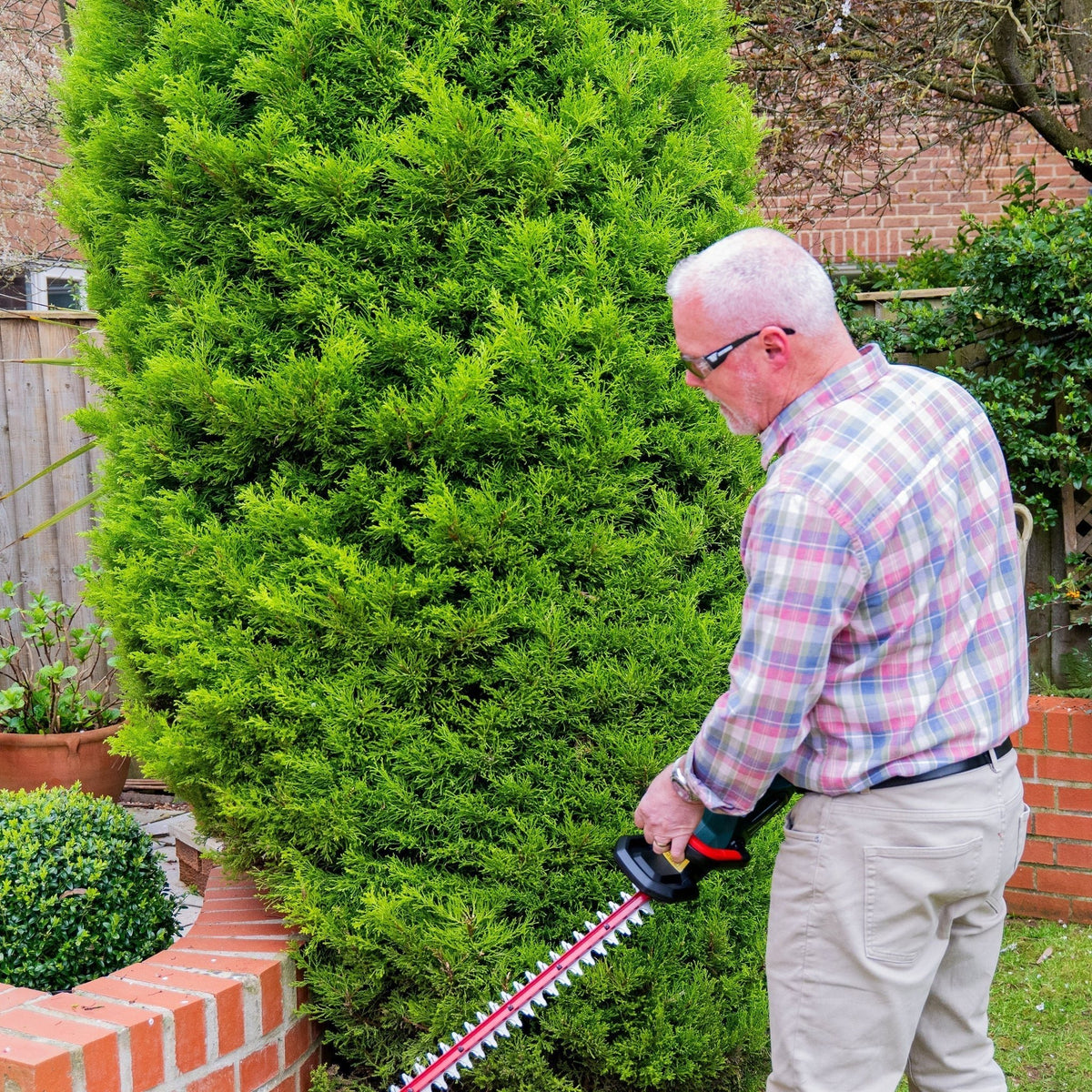Webb Eco 20V 50cm (20") Cordless Hedge Trimmer (2Ah Battery & Charger Included)_Hedge Trimmers