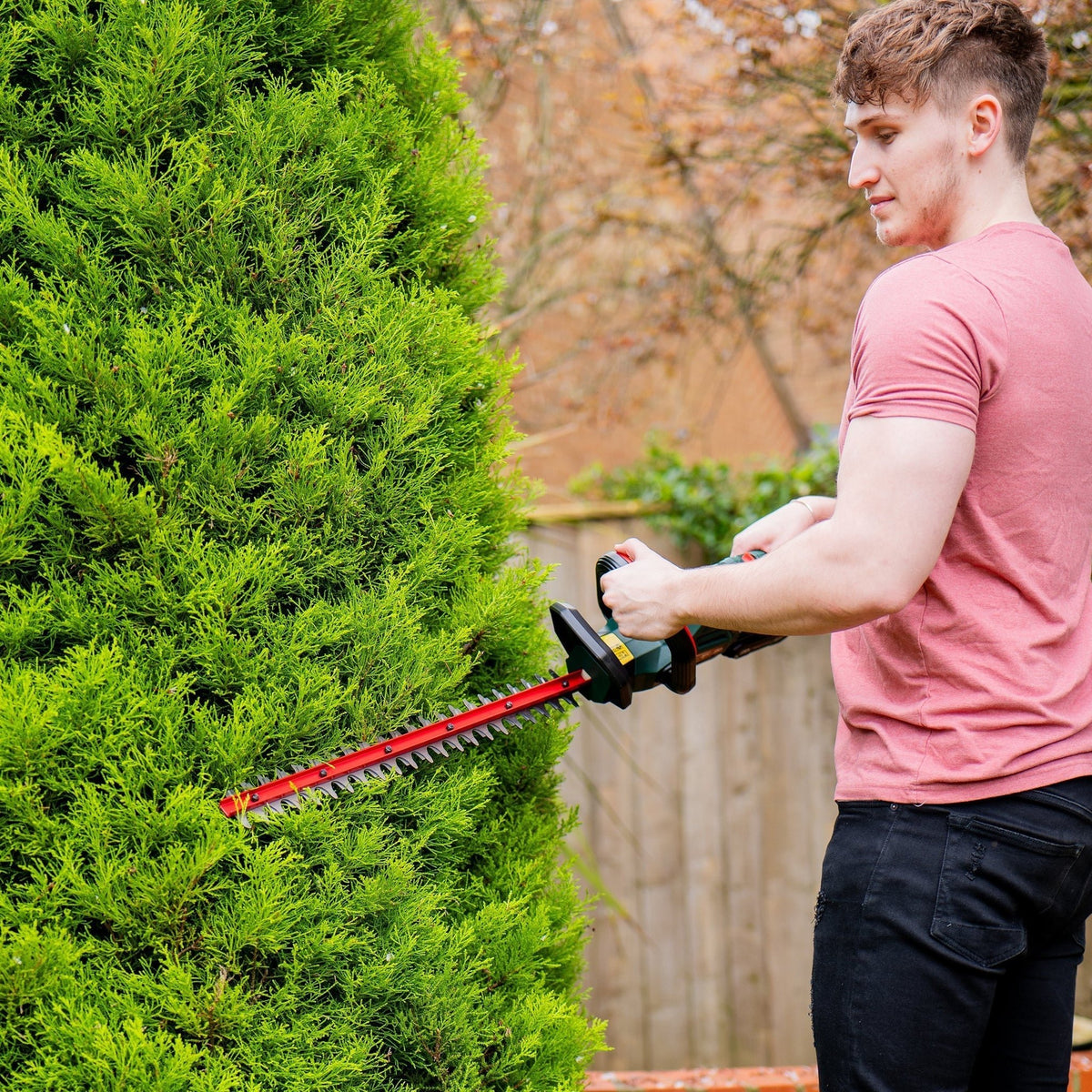 Webb Eco 20V 50cm (20") Cordless Hedge Trimmer (2Ah Battery & Charger Included)_Hedge Trimmers