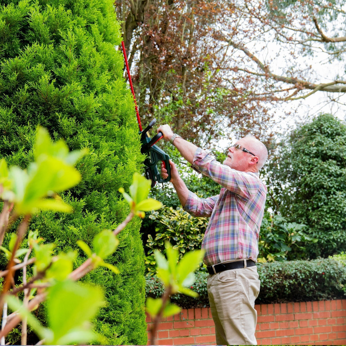 Webb Eco 20V 50cm (20") Cordless Hedge Trimmer (2Ah Battery & Charger Included)_Hedge Trimmers