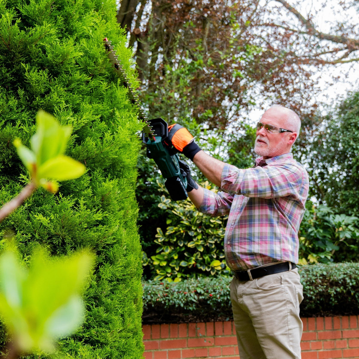 Webb Eco 20V 50cm (20") Cordless Hedge Trimmer (2Ah Battery & Charger Included)_Hedge Trimmers