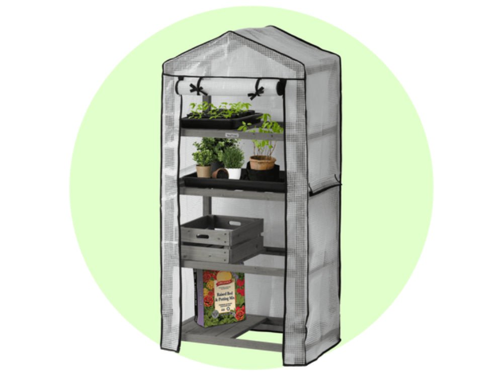 Nursery Greenhouse (FSC 100%)_VegTrug