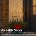 Xmas Haus Christmas 3 Star Cluster – 30 Warm White LEDs per Star, Battery Operated with Timer, Outdoor Garden & Patio Decoration_Christmas Lights