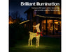 Xmas Haus Christmas Festive Gold Rattan Deer - 74CM High - 250 Warm White LEDS_Christmas Figure