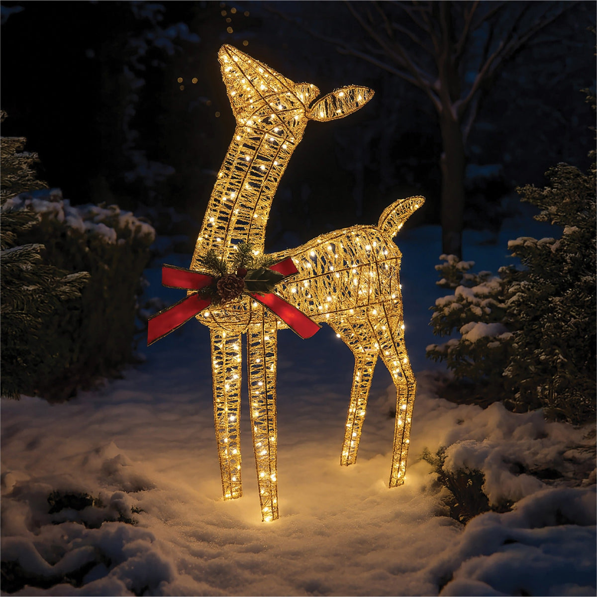 Xmas Haus Christmas Festive Gold Rattan Deer – 74cm High with 250 Warm White LEDs. Festive Decoration_Christmas Figure