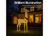 Xmas Haus Christmas Festive Gold Rattan Deer - 108CM High - 350 Warm White LEDS_Christmas Figure