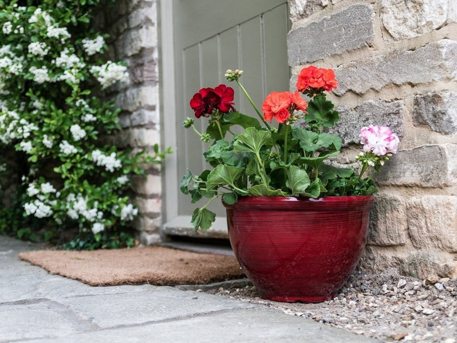 feather plant pots Feather Pot Flower Pot | Striped Silver