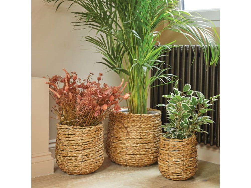 Sencha Woven Basket_Flower Pots