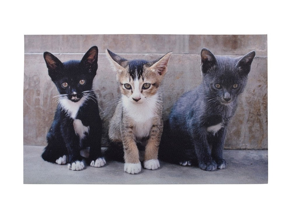 Kittens Doormat