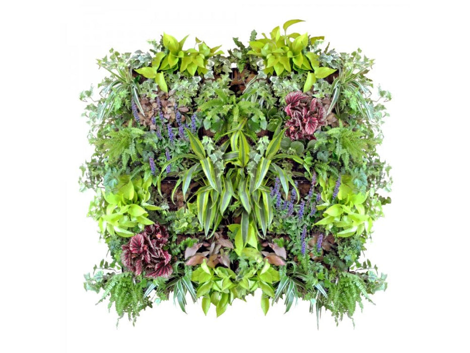 Vertical Wall Mounted Planter