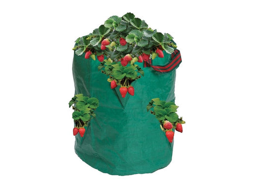 Strawberry/Herb Bag